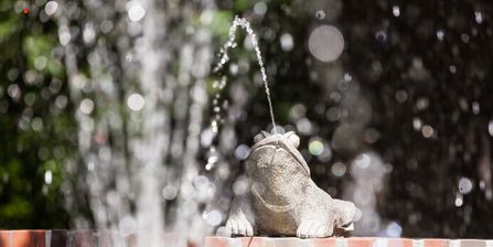 Springbrunnen im Kurpark Bad Düben